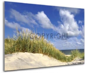 wandbilder