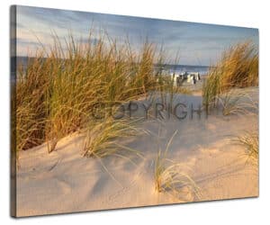 wandbilder